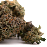 Dried Purple Lemon Cake THCa flower with trichomes and orange hairs for wholesale indoor hemp flower